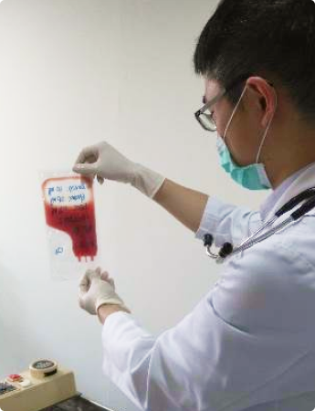 Bone Marrow Transplantation